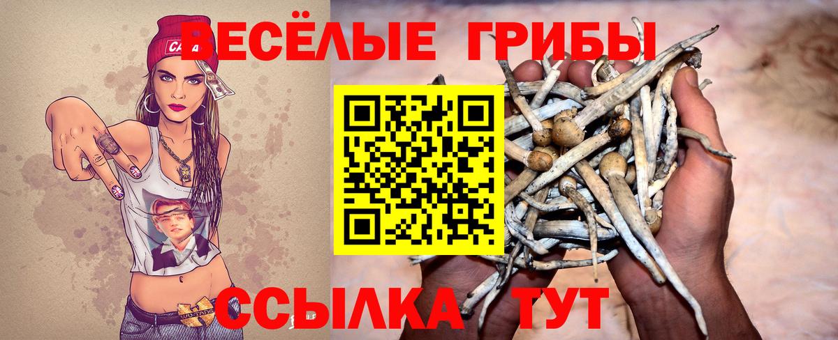 Галлюциногенные грибы мухоморы Скопин