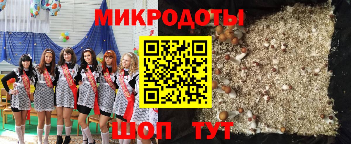 Псилоцибиновые грибы MAGIC MUSHROOMS  купить наркоту  Скопин  Псилоцибиновые грибы MAGIC MUSHROOMS  Вход с VPN 